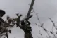 Ukrainian soldiers prepare to launch an Avenger UAV drone in Ukraine's Kharkiv region, September 24, 2025