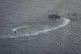 A Libyan Coastguard ship chases a boat in distress with 63 people on board in the central Mediterranean Sea, June 30, 2021 [Pic: Sea-Watch]