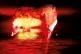 Donald Trump nuclear test