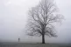 Walkers at sunrise in Richmond Park, London as Britain endures below freezing temperatures overnight, January 12, 2025