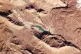 OPTIONS DRY UP: A satellite picture from Planet Labs PBC shows Lar Dam outside of Tehran, Iran on November 18 2025 and illustrates the worsening drought around the capital / Pic: Planet Labs PBC via AP
