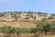 Yanoun