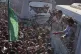 People gather to greet freed Palestinian prisoners arriving on buses in the Gaza Strip after their release from Israeli jails under a ceasefire agreement between Hamas and Israel, outside Nasser Hospital in Khan Younis, southern Gaza Strip, October 13, 2025