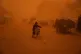 A boy pushes a bicycle carrying jerrycans of water through a sandstorm in Khan Younis, southern Gaza Strip, March 14, 2026