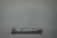 A cargo ship carrying vehicles sails through the Arabian Gulf toward the Strait of Hormuz in the United Arab Emirates, March 22, 2026
