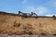 The home of 88-year-old Jean Flick on the cliff top in North End Avenue, Thorpeness, Suffolk, which is at risk of falling into the sea following coastal erosion, August 19, 2025