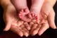 A woman holding the feet of a new baby