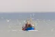 A trawler returns to the North Shields fish quay with its catch from the North Sea, May 5, 2022