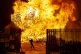 SIX COUNTIES: Firefighters dealt with more than 300 emergency calls as Eleventh Night bonfires were lit across the north of Ireland.  In Greenisland, Co Antrim, embers from a nearby bonfire likely caused a blaze that destroyed two houses, the fire service said, though this is still under investigation.  In Cookstown, Co Tyrone, firefighters were forced to withdraw from a bonfire in Cookstown because of a result of a hostile crowd.  The bonfires are lit ahead of the Orange Order’s July 12 parades across the 