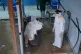 A health worker stands at an ebola treatment centre in Bunia, Congo, Monday, July 20, 2026