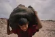 Omar Ghabin, 14, looks at the camera as he carries a bag after sorting through trash at a landfill in Deir al-Balah, central Gaza Strip, Thursday, July 23, 2026