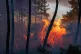 Wildfires advance near Le Proge region, western France, July 23, 2026