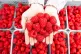 Raspberries at East Seaton Farm, in Angus, Scotland, June 17, 2026