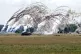 PLAYING WITH FIRE: Nato’s Enhanced Forward Presence Sabre 