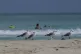 Seagulls walk along the shore as tourists wade in ocean wate