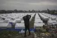A boy looks over a newly established tent camp for displaced