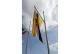 Brunei Flag