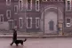 A dog handler patrols the perimeter fence of HMP Manchester