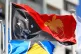 The flag of Papua New Guinea