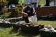 A local resident collects food packages in the front garden 