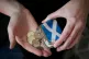 Coins in a Saltire purse