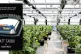HIGH-END HORTICULTURE: Cannabis greenhouse facility in Denve