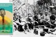 Che Guevara's guerrilla detachment in Bolivia