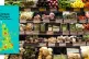 UNSUSTAINABLE: Cheap and highly subsidised food