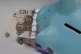 Money in a piggy bank